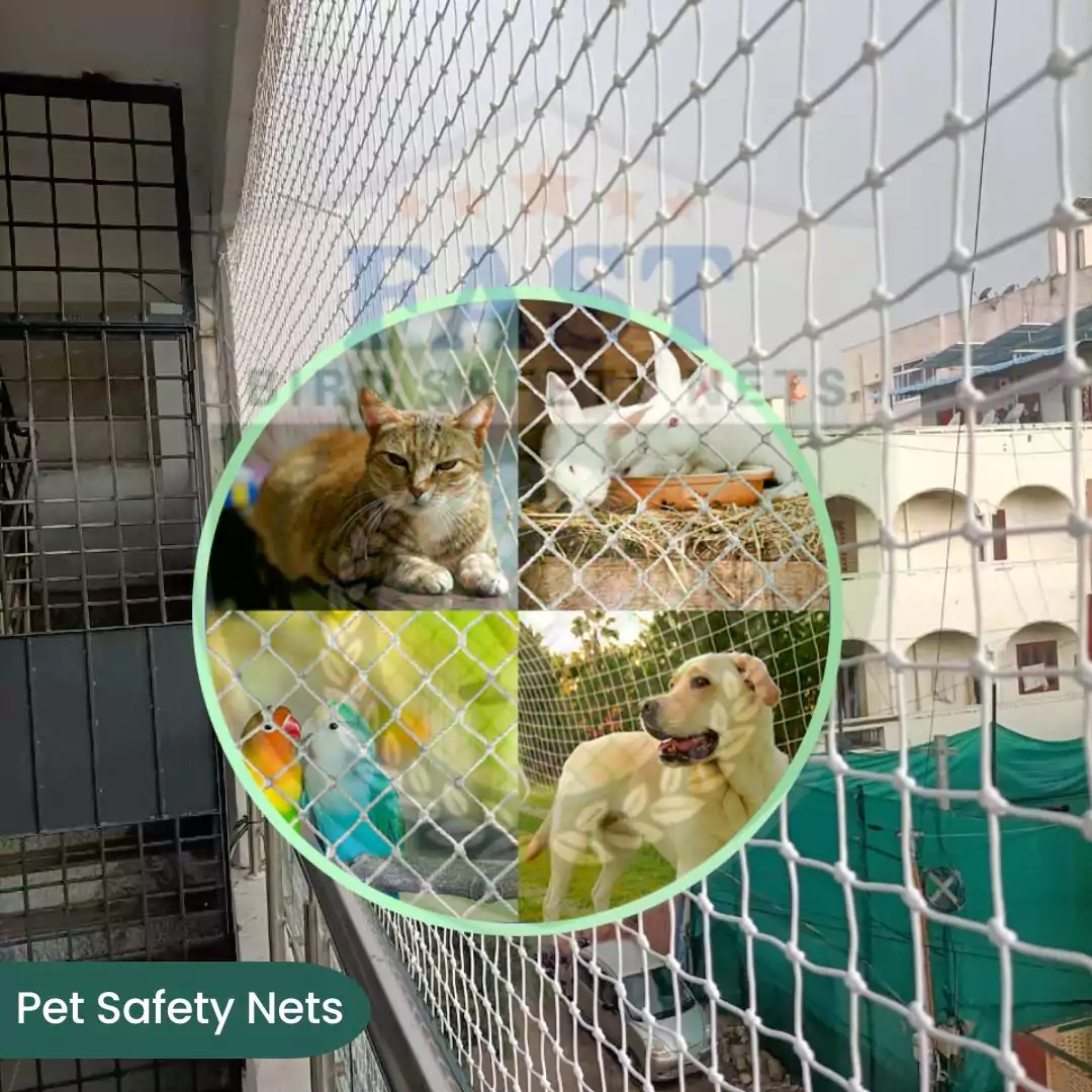 Pet Safety Nets