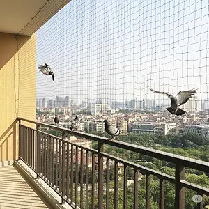 Pigeon Safety Nets